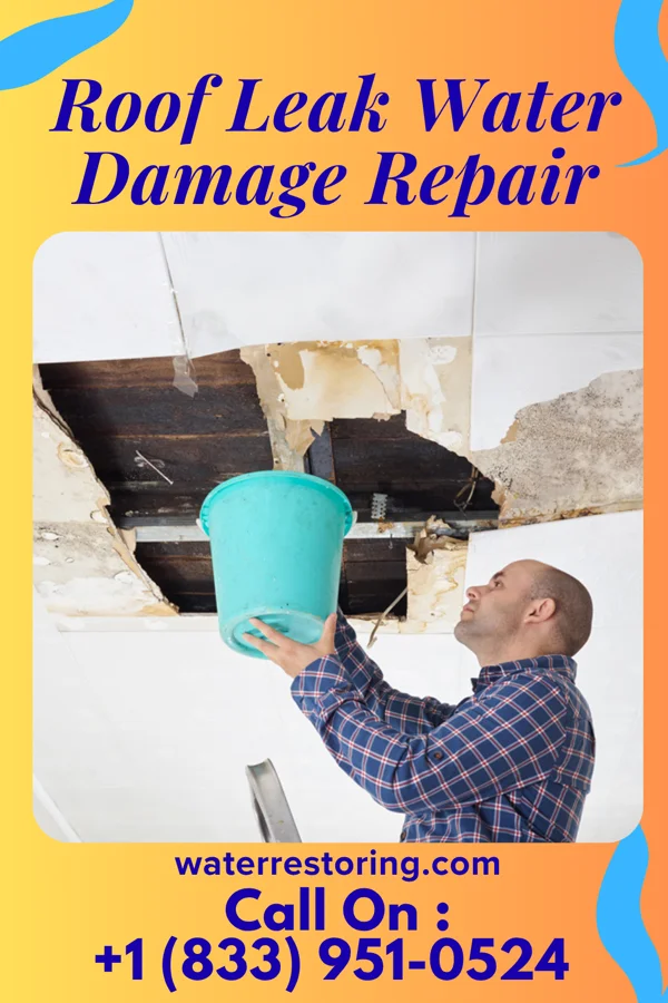 Roof Leak Water Damage Repair in New London, MN