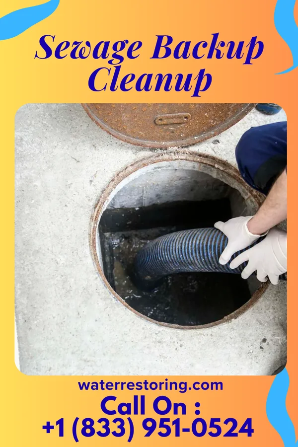 Sewage Backup Cleanup in New London, MN