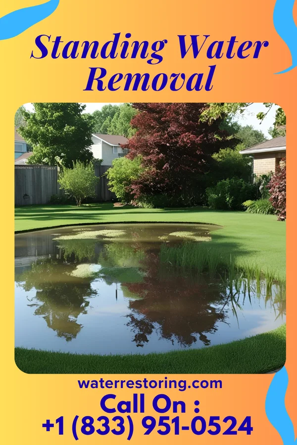 Standing Water Removal in New London, MN